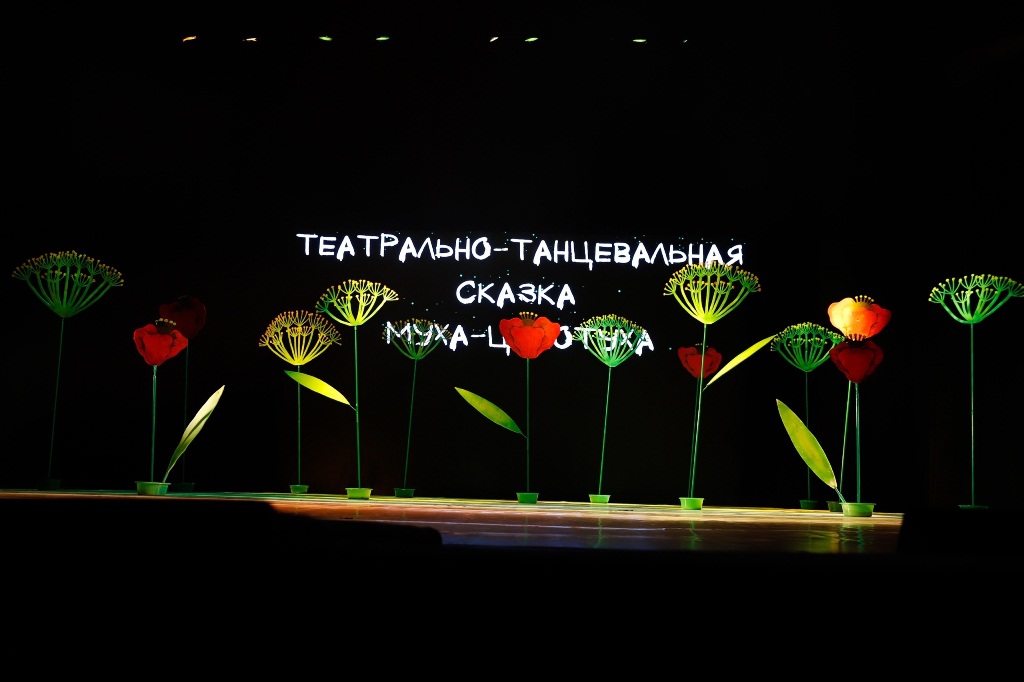myxa tsokotyxa 2